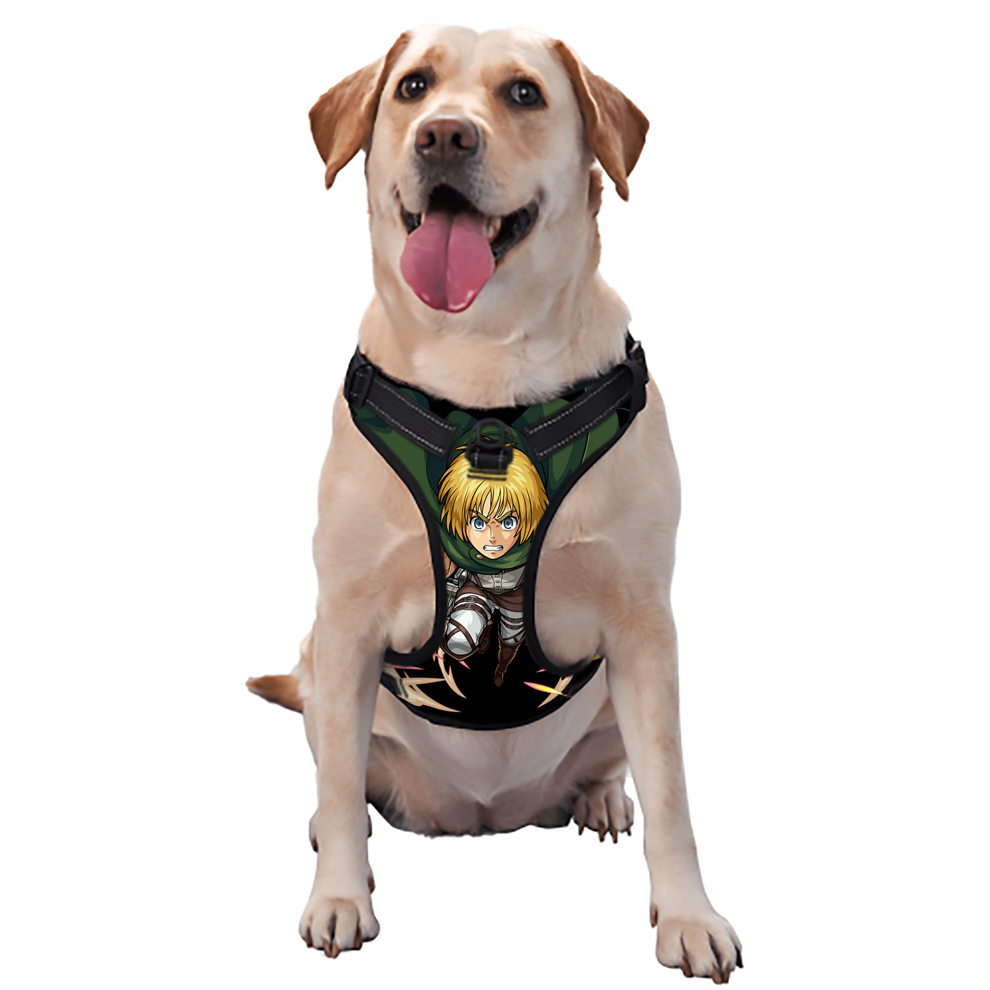 （画像用） 進撃の巨人 アルミン·アルレルト Attack on Titan Armin Arlert ペット用ハーネス
